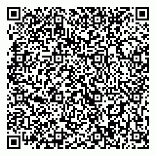 vCard 79393004307