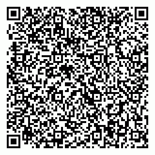 vCard 79393004319