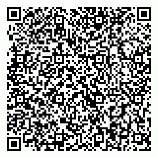 vCard 79393004329