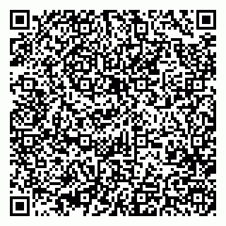 vCard 79393004331