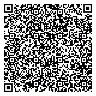 vCard 79393004333