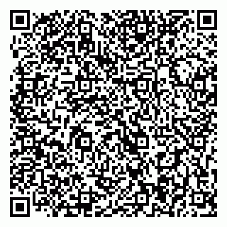 vCard 79393004380