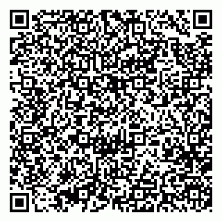 vCard 79393004381