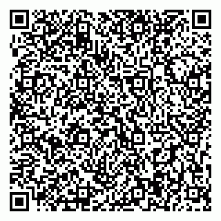 vCard 79393004384