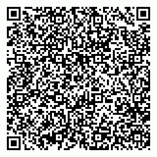 vCard 79393004399