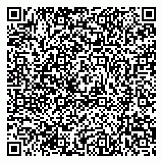 vCard 79393004803