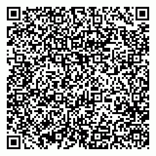 vCard 79393004810