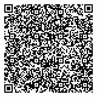 vCard 79393004813