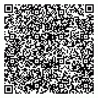 vCard 79393004817