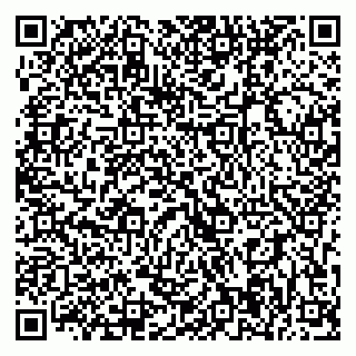 vCard 79393004824