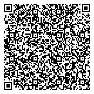 vCard 79393004840
