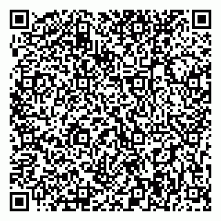 vCard 79393004841