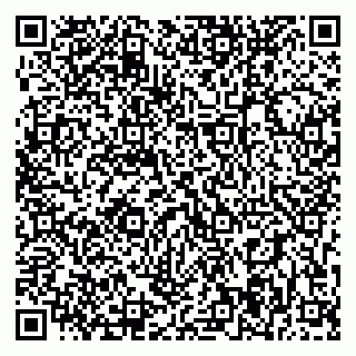 vCard 79393004871