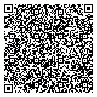 vCard 79393004877