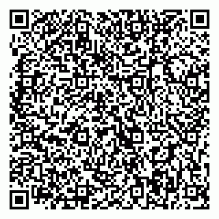 vCard 79393004889