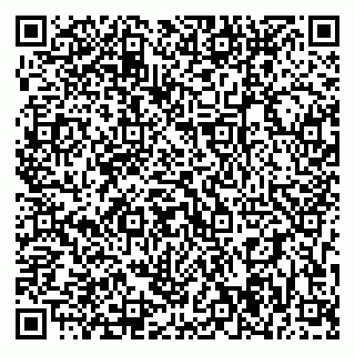 vCard 79393004893