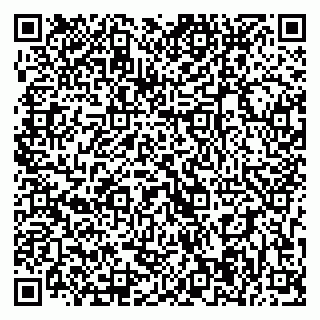 vCard 79393004894
