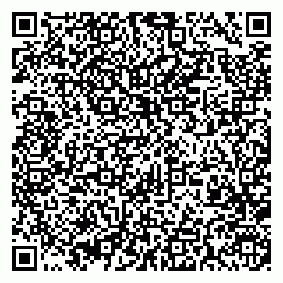 vCard 79393004897