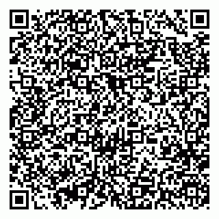 vCard 79393004899