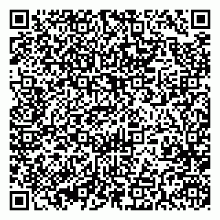 vCard 79393004907