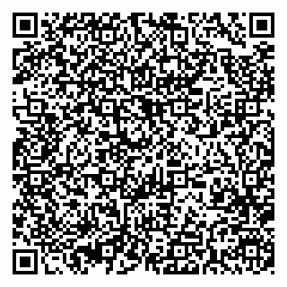 vCard 79393004933