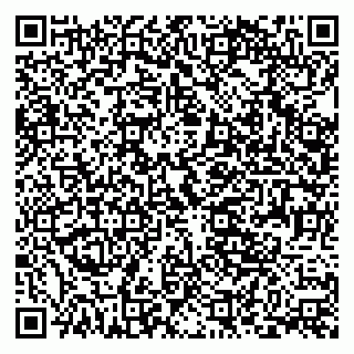 vCard 79393004939