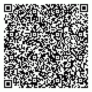 vCard 79393004955