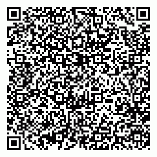 vCard 79393004971
