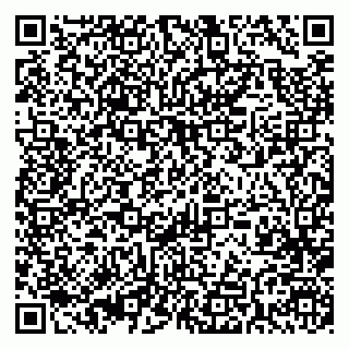 vCard 79393004973