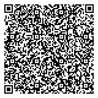 vCard 79393004977