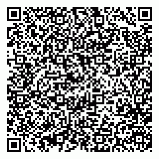 vCard 79393004985