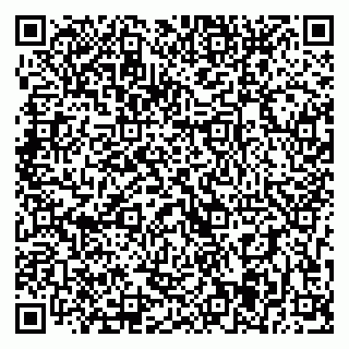 vCard 79393005011