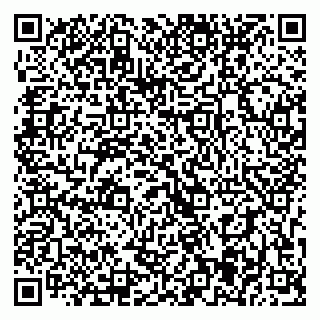 vCard 79393005100