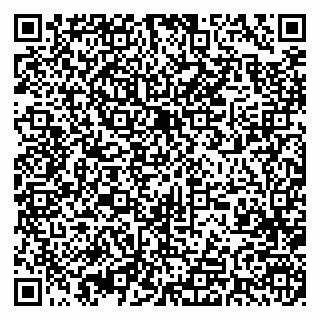 vCard 79393005131