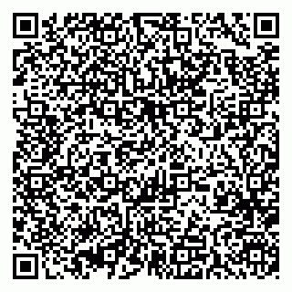 vCard 79393005132