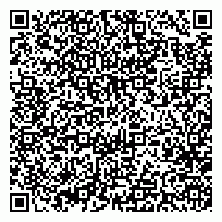 vCard 79393005181