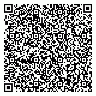 vCard 79393005200
