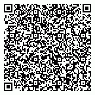 vCard 79393005204