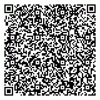 vCard 79393005206