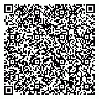 vCard 79393005221
