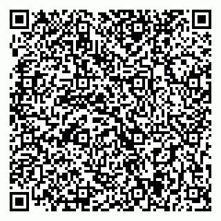 vCard 79393005263