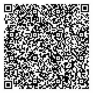 vCard 79393005275