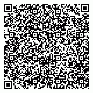 vCard 79393005281