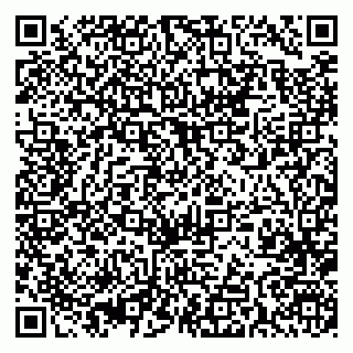 vCard 79393005287