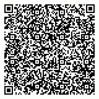 vCard 79393005295