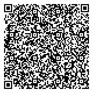 vCard 79393005301
