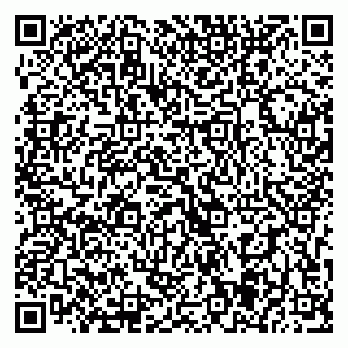 vCard 79393005302
