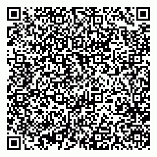 vCard 79393005304