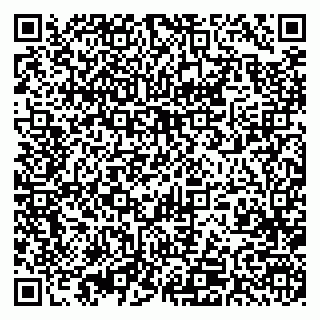vCard 79393005308