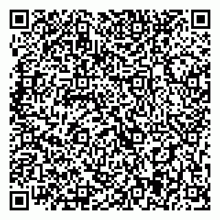 vCard 79393005320